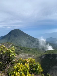 Foto Profil DediSumiadi
